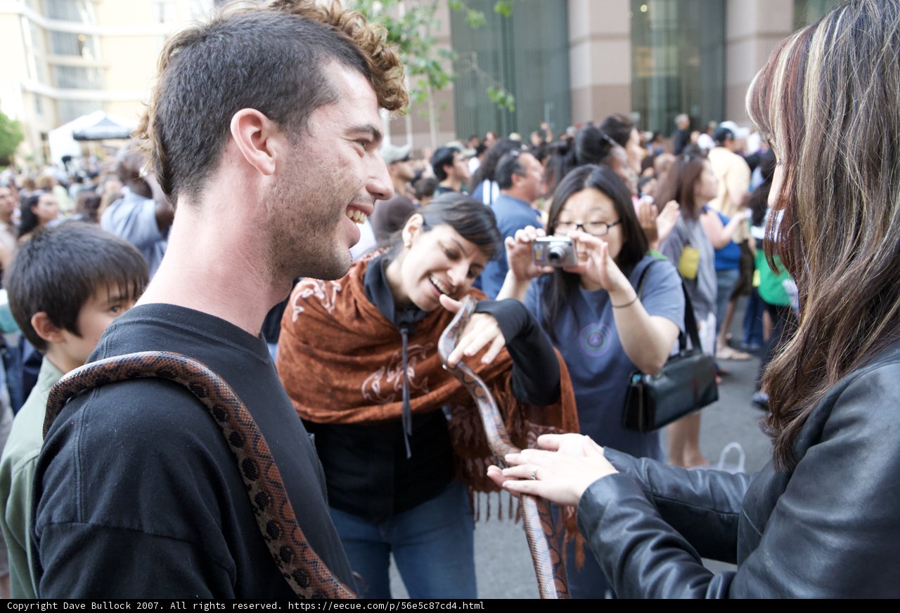 Man in Black Jacket Joins the Crowd