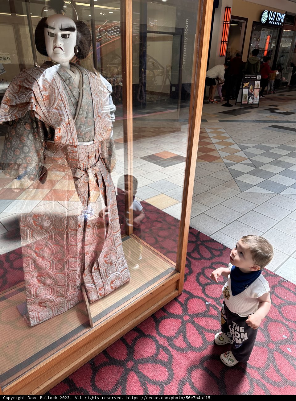 The Young Observer