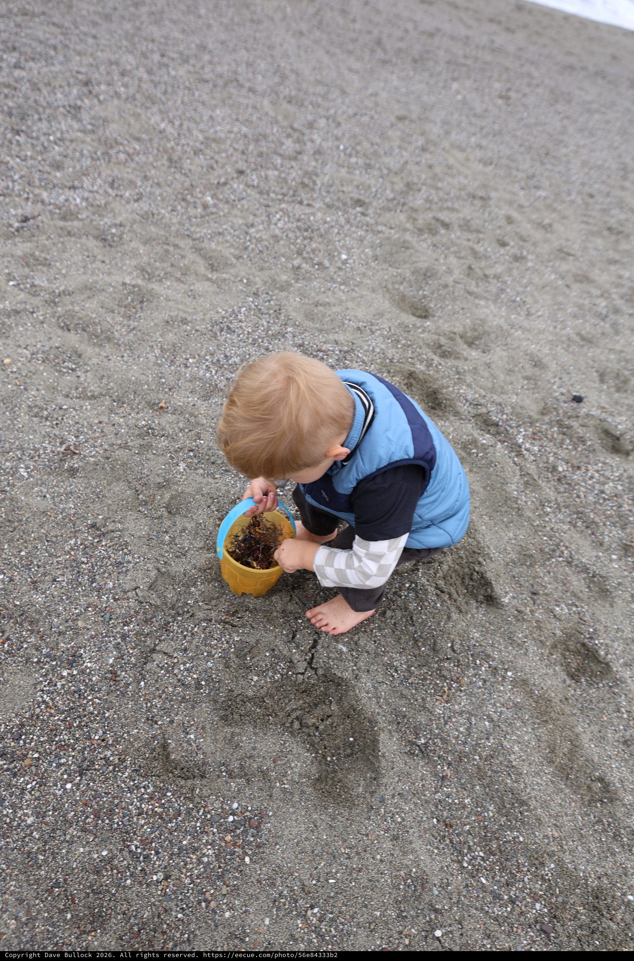 Toddler Explores Beach Treasures in a Bucket