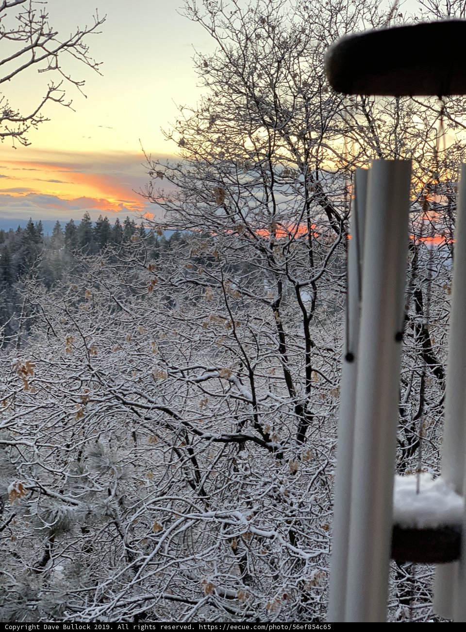 Winter Wonderland