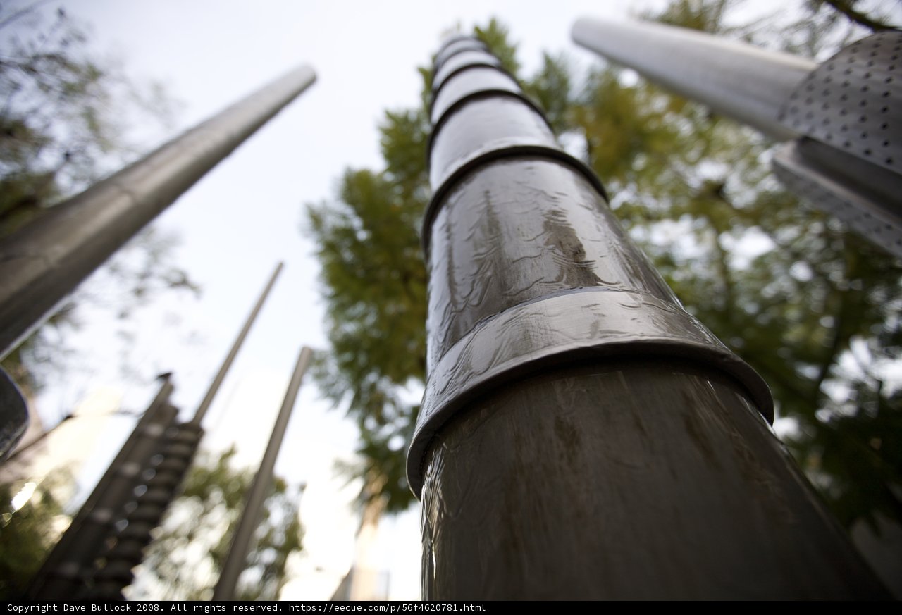 The Tall Bamboo Pole Forest