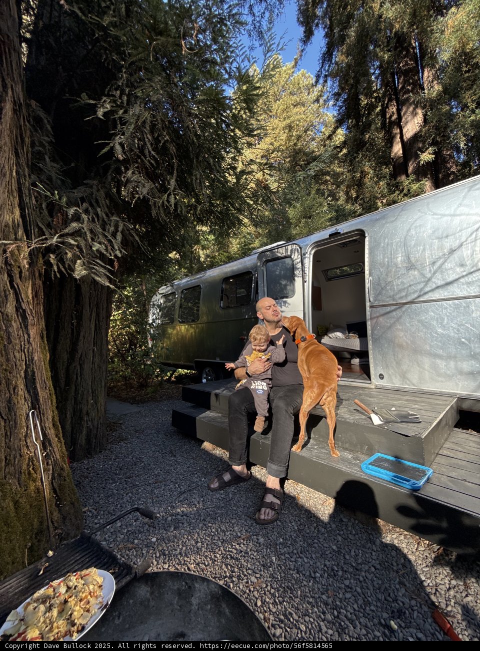 Morning Bliss in the Redwood Retreat
