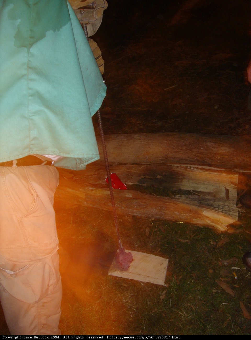 Brushing the Wood