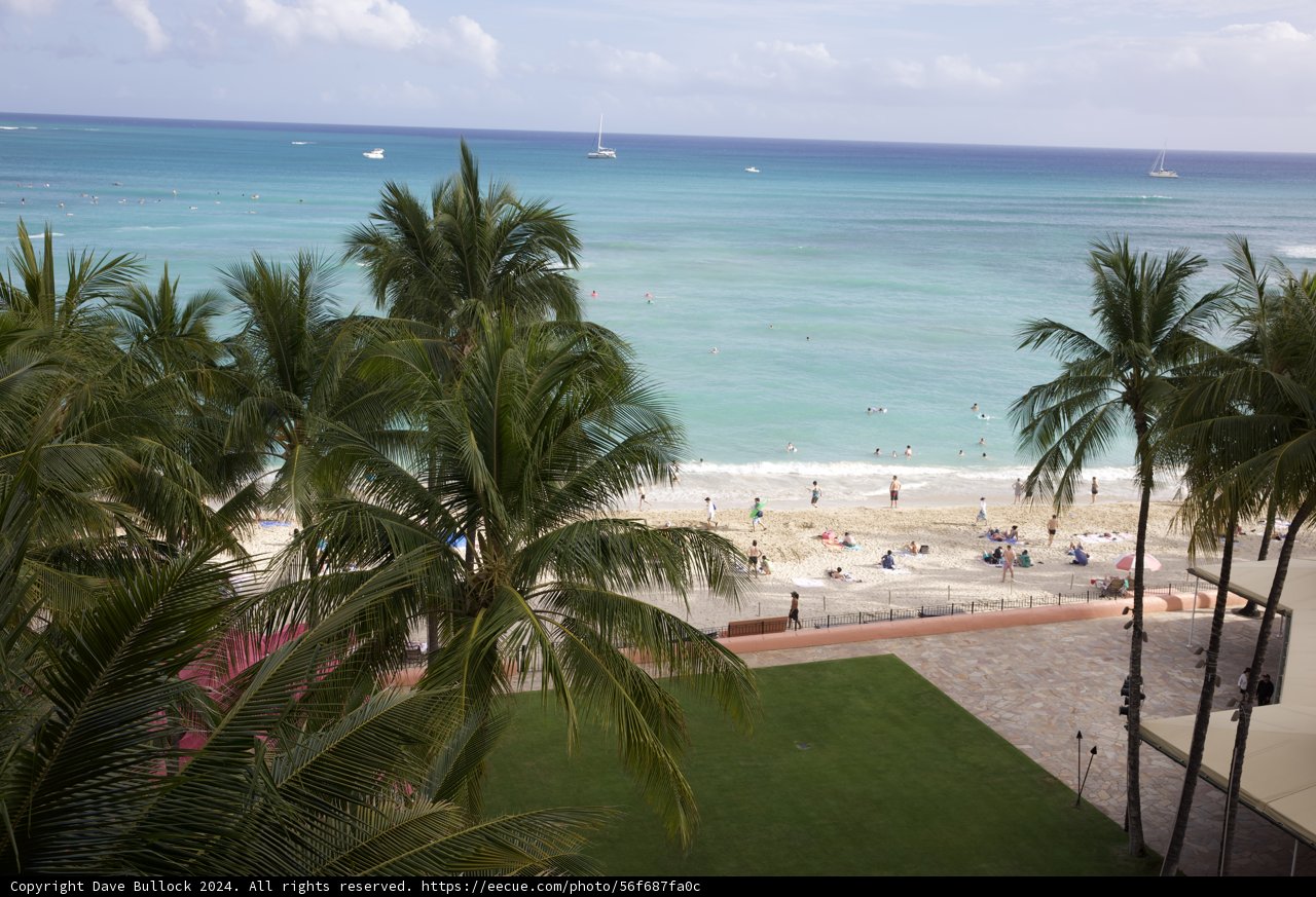 Tropical Tranquility: A Serene Day at the Hawaiian Shore