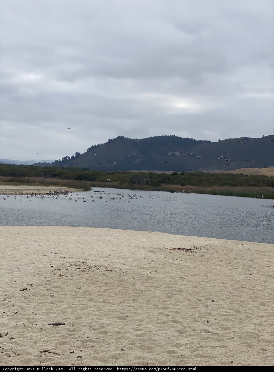 The Serenity of Carmel Beach