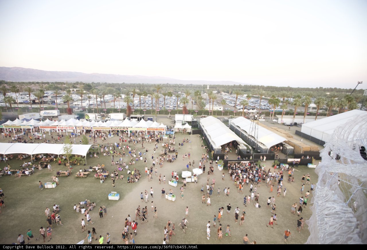 Festival Fever
