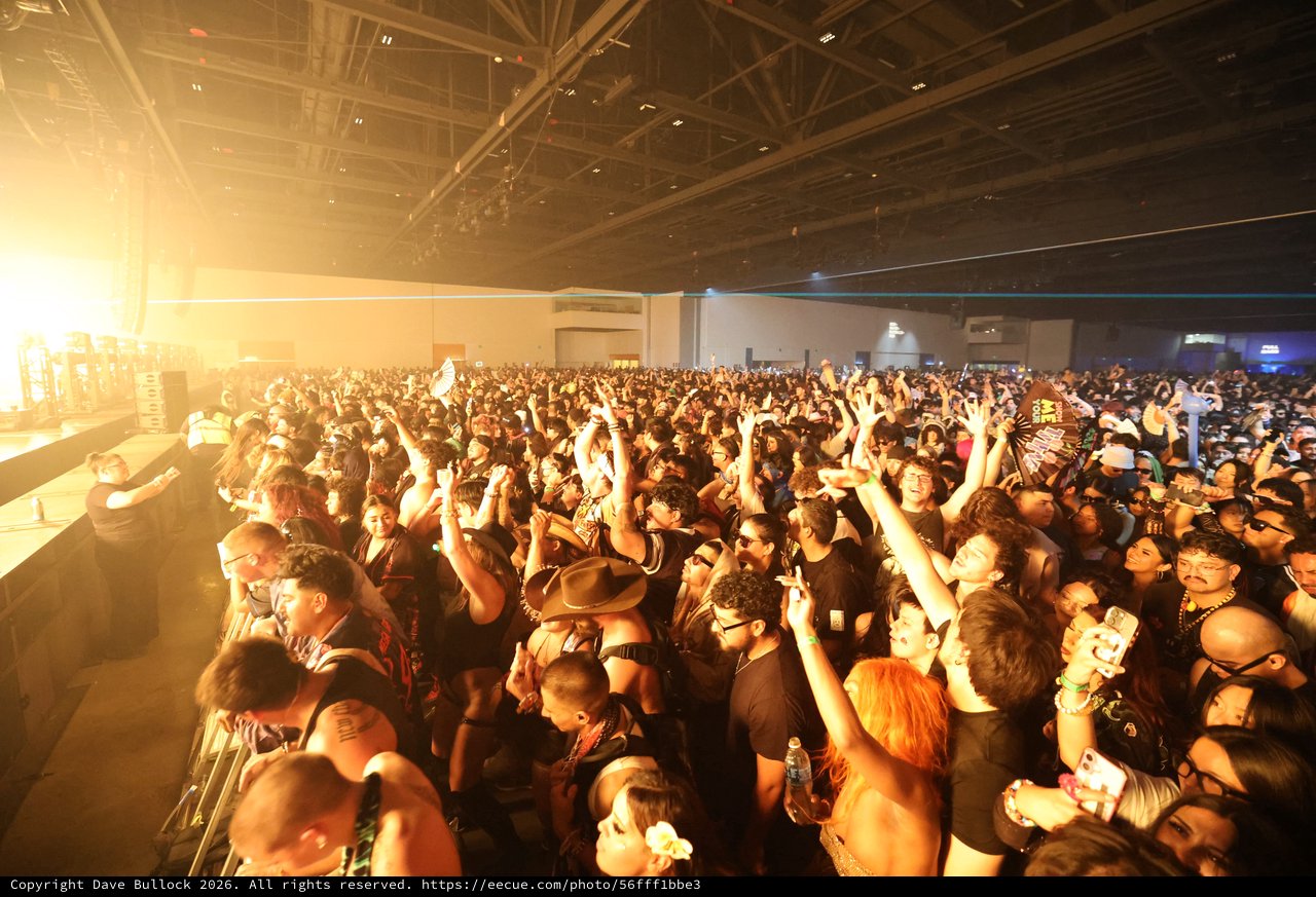 Massive Indoor Crowd Surges at Wobbleland 2026
