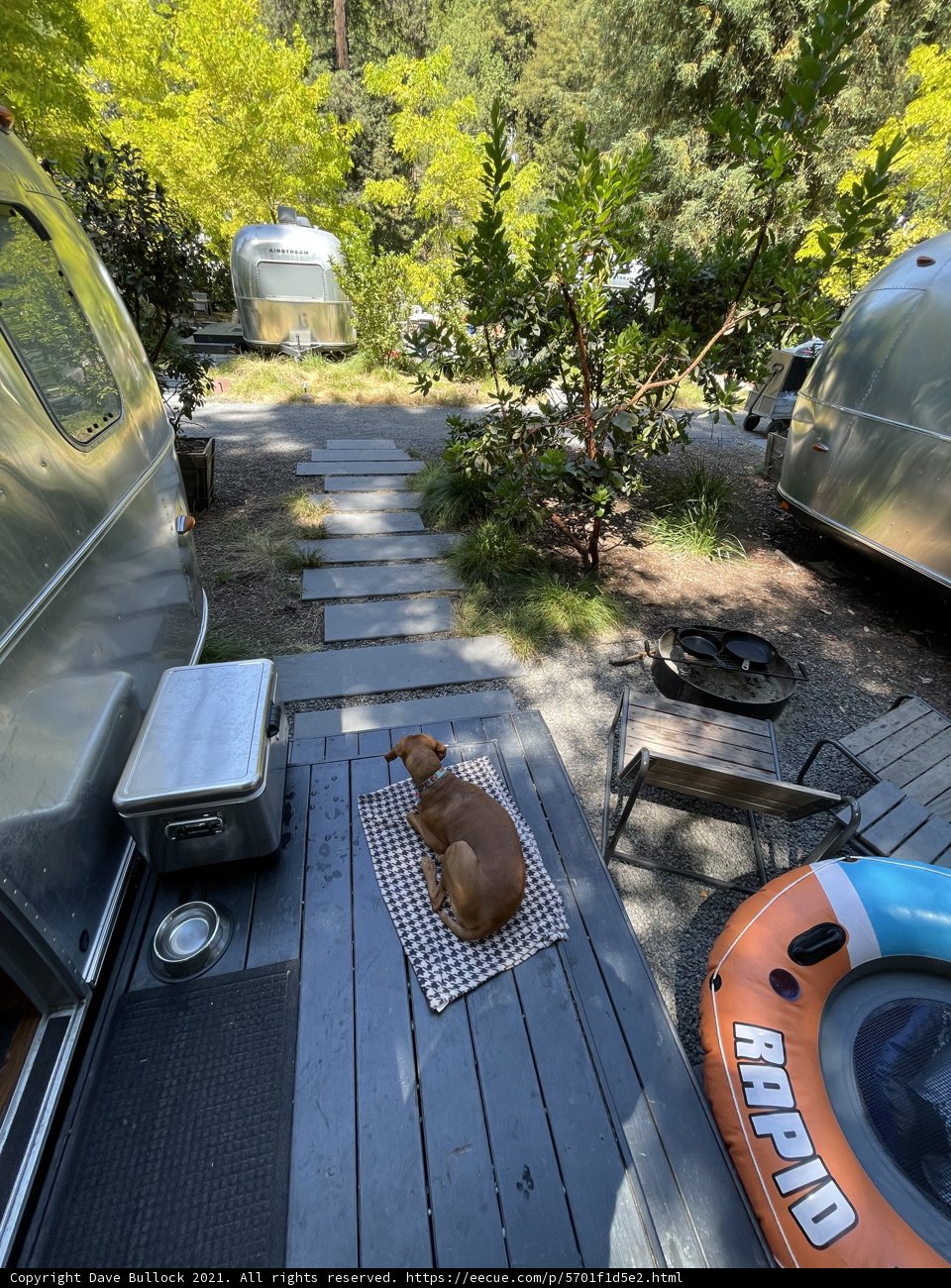 Relaxing with Fido on the Deck