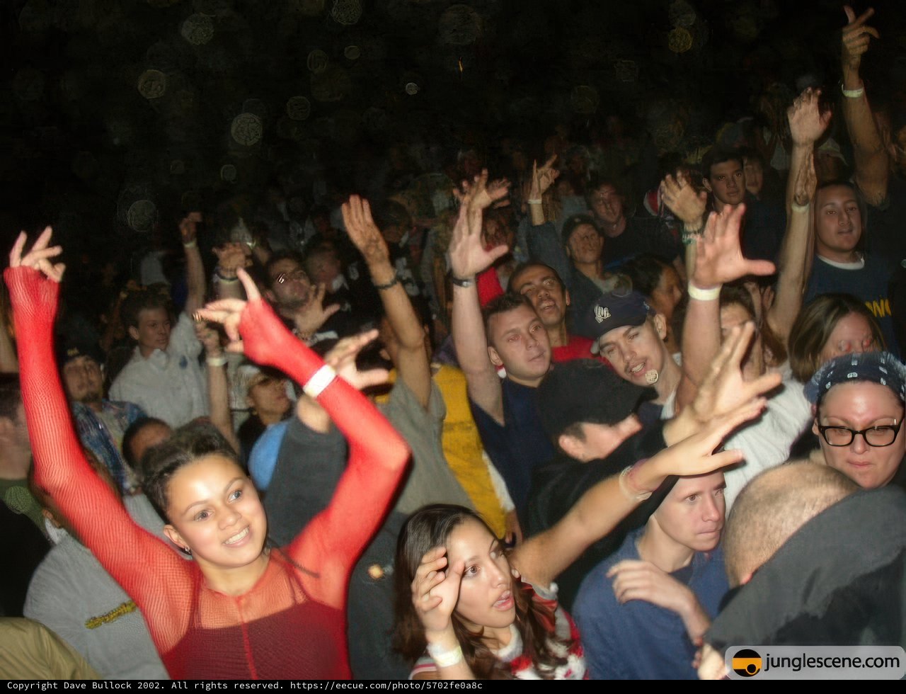 Summer Dreams Concert Crowd