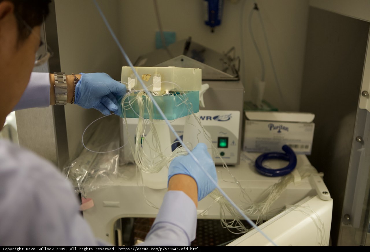 Advanced Research in the Lab