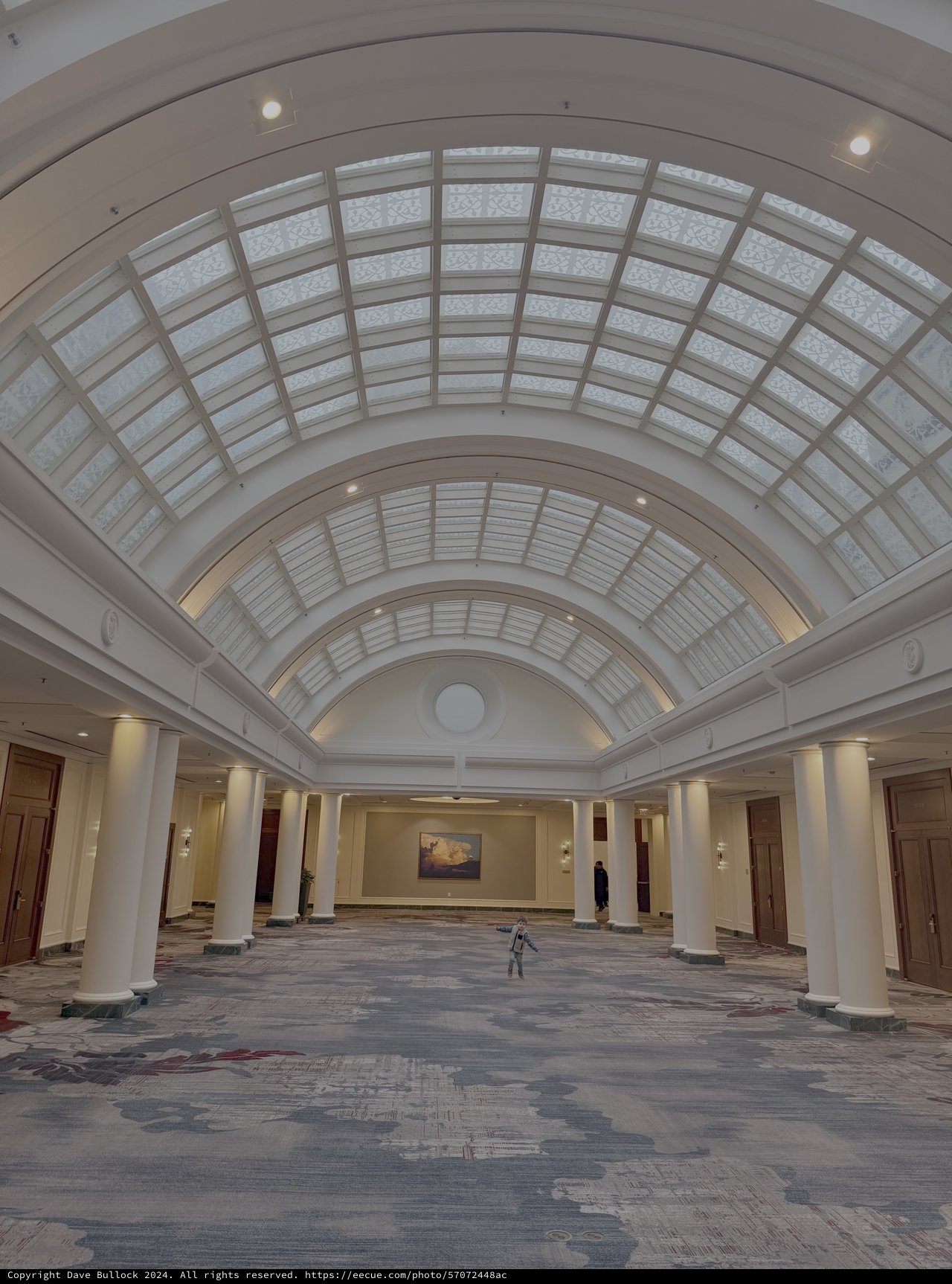 Grand Barrel-Vaulted Atrium with Glass Ceiling