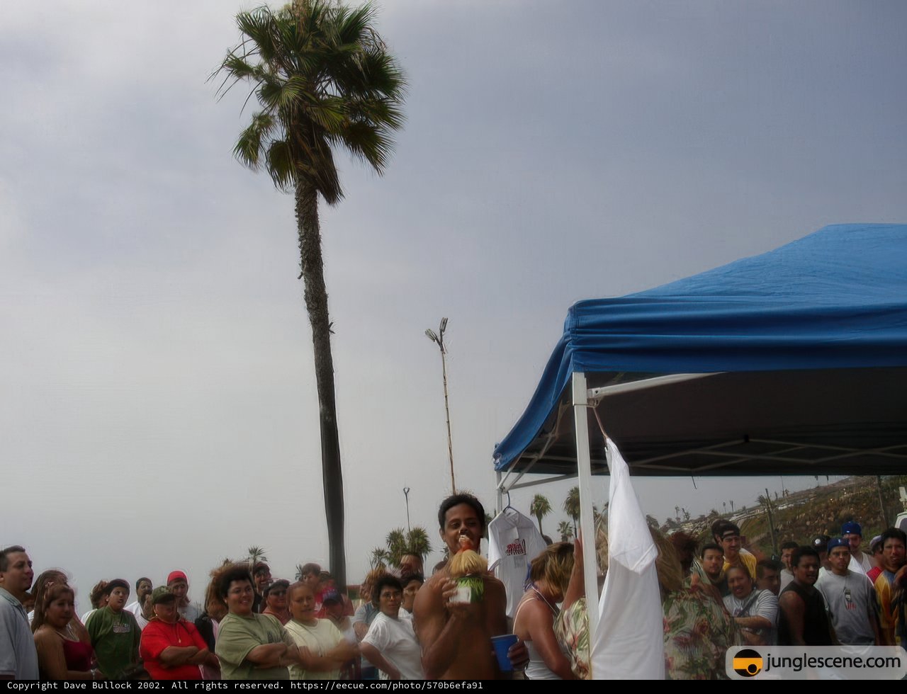 Gathering under the Palm Tree Tent