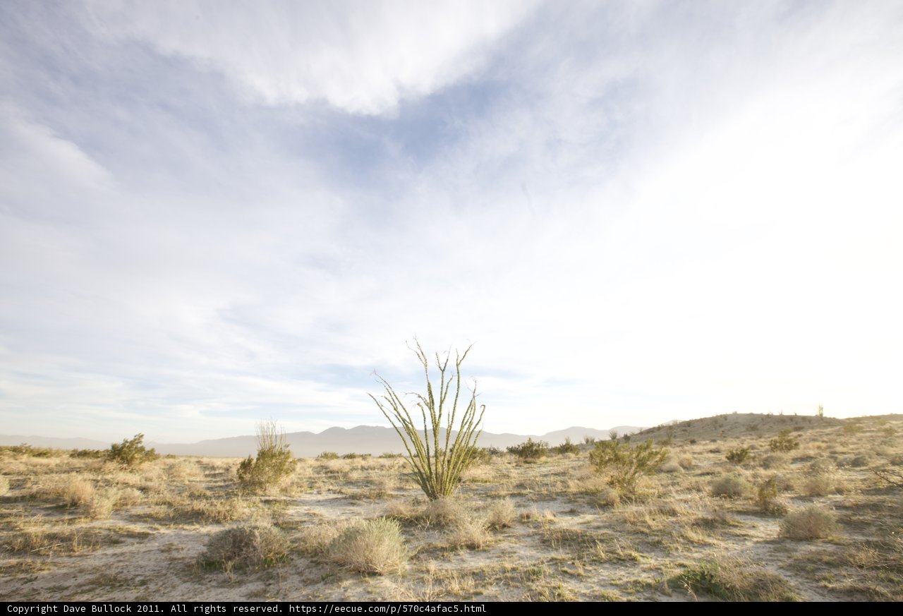 Solitude in the Desert