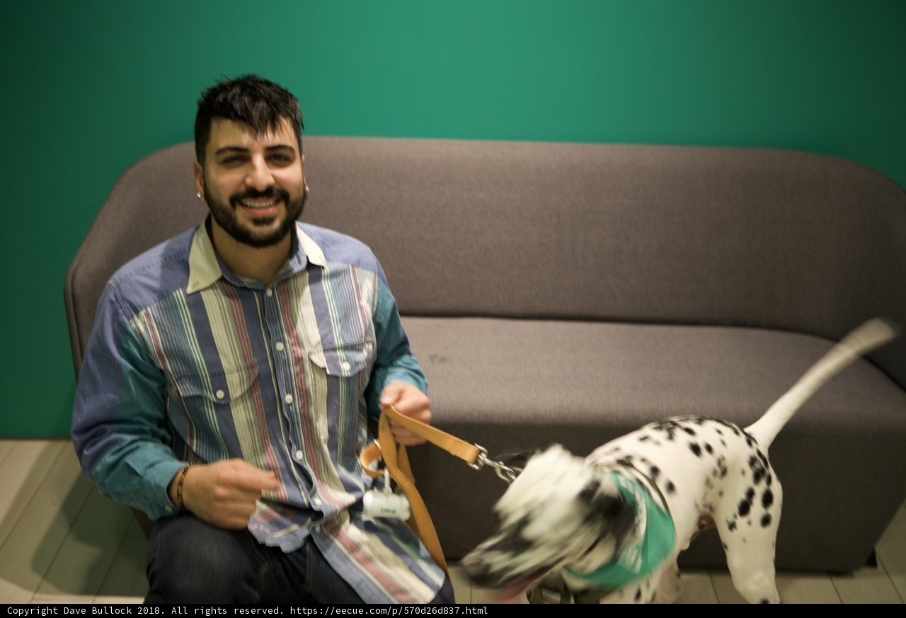 Man & Dalmatian Couch Time