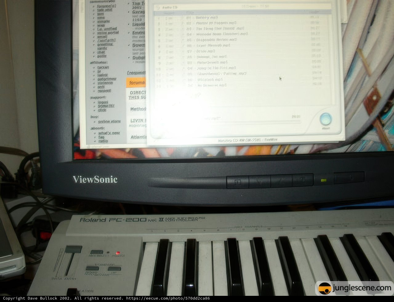 Multitasking Musician