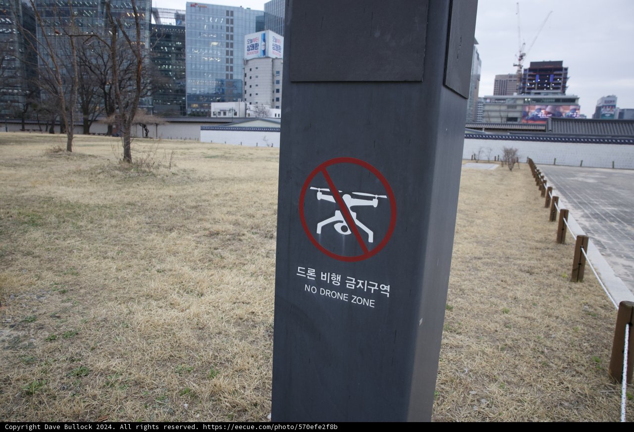 An Ode to Tranquility: No Guns Sign