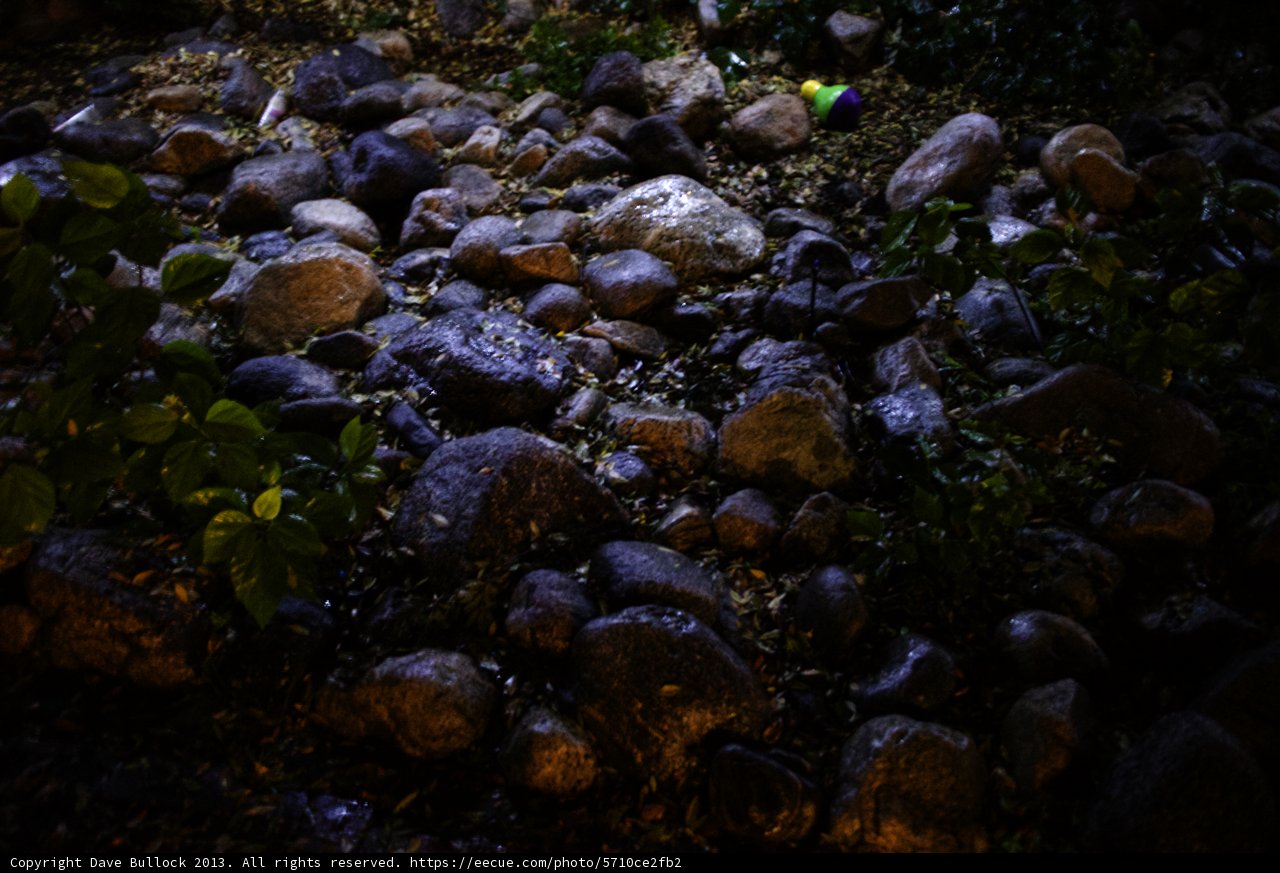 Illuminated Rock Garden
