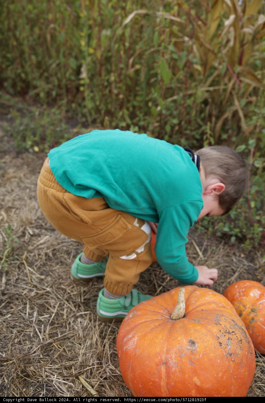 Autumn Discoveries