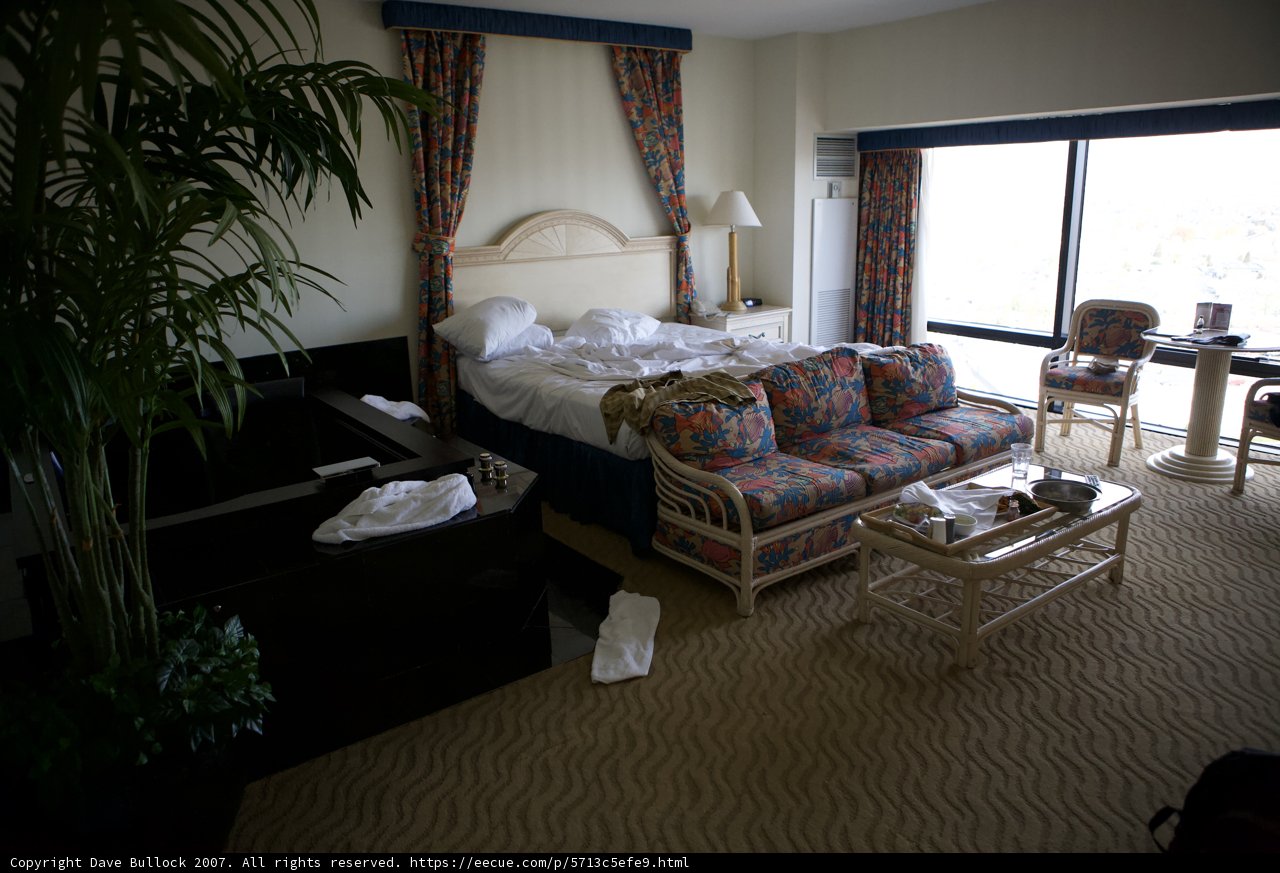 Comfortable Living Room with a View