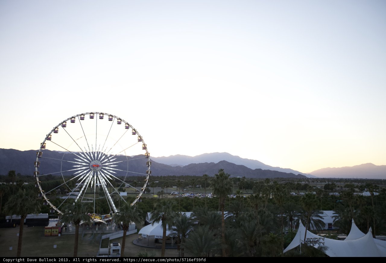 Fun in the Desert Sun