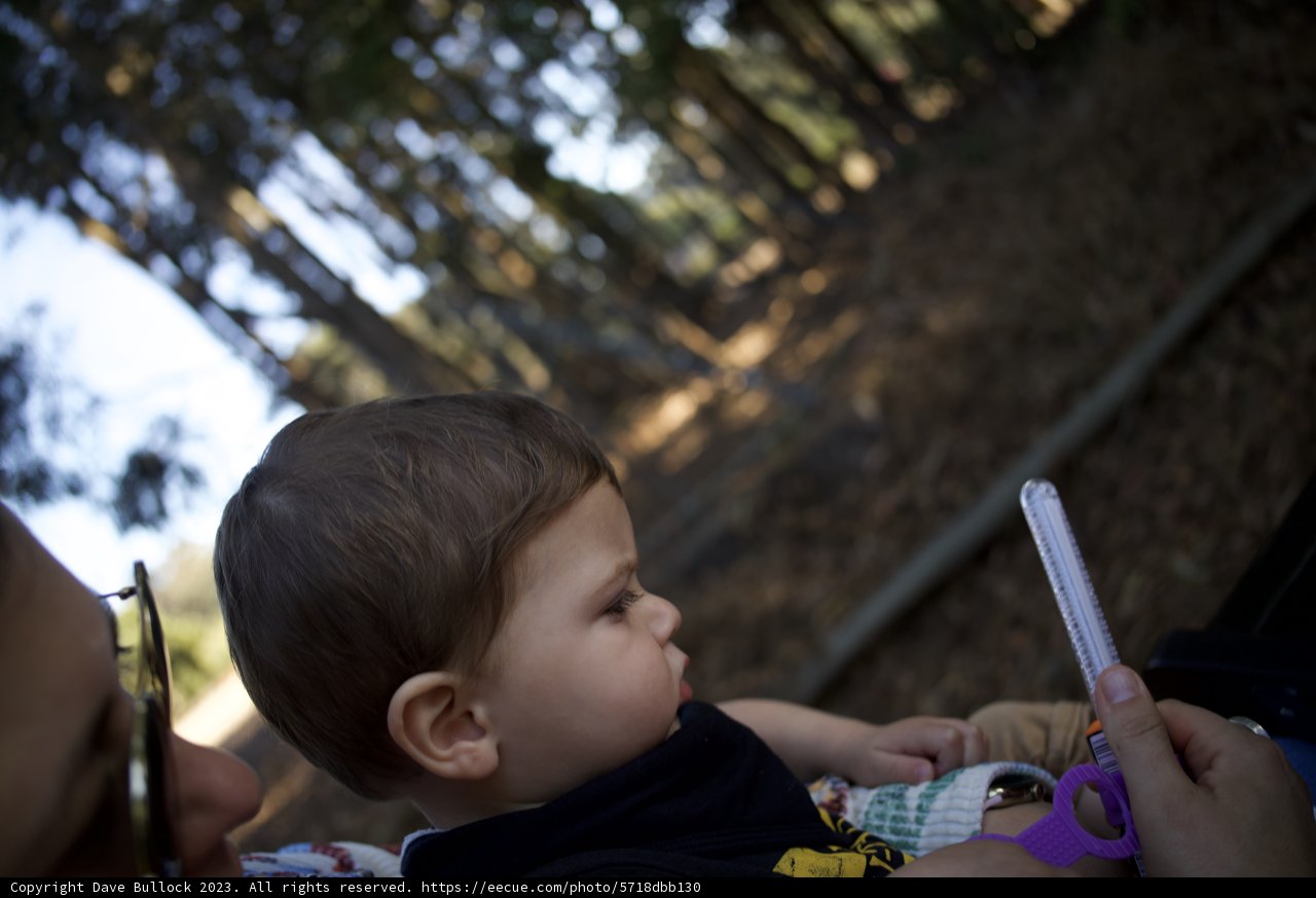 Wesley's First Call