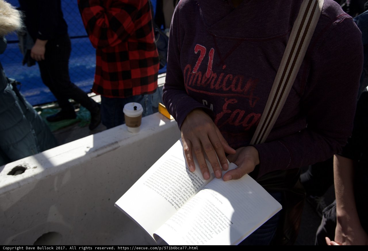 Woman Reading on Boat