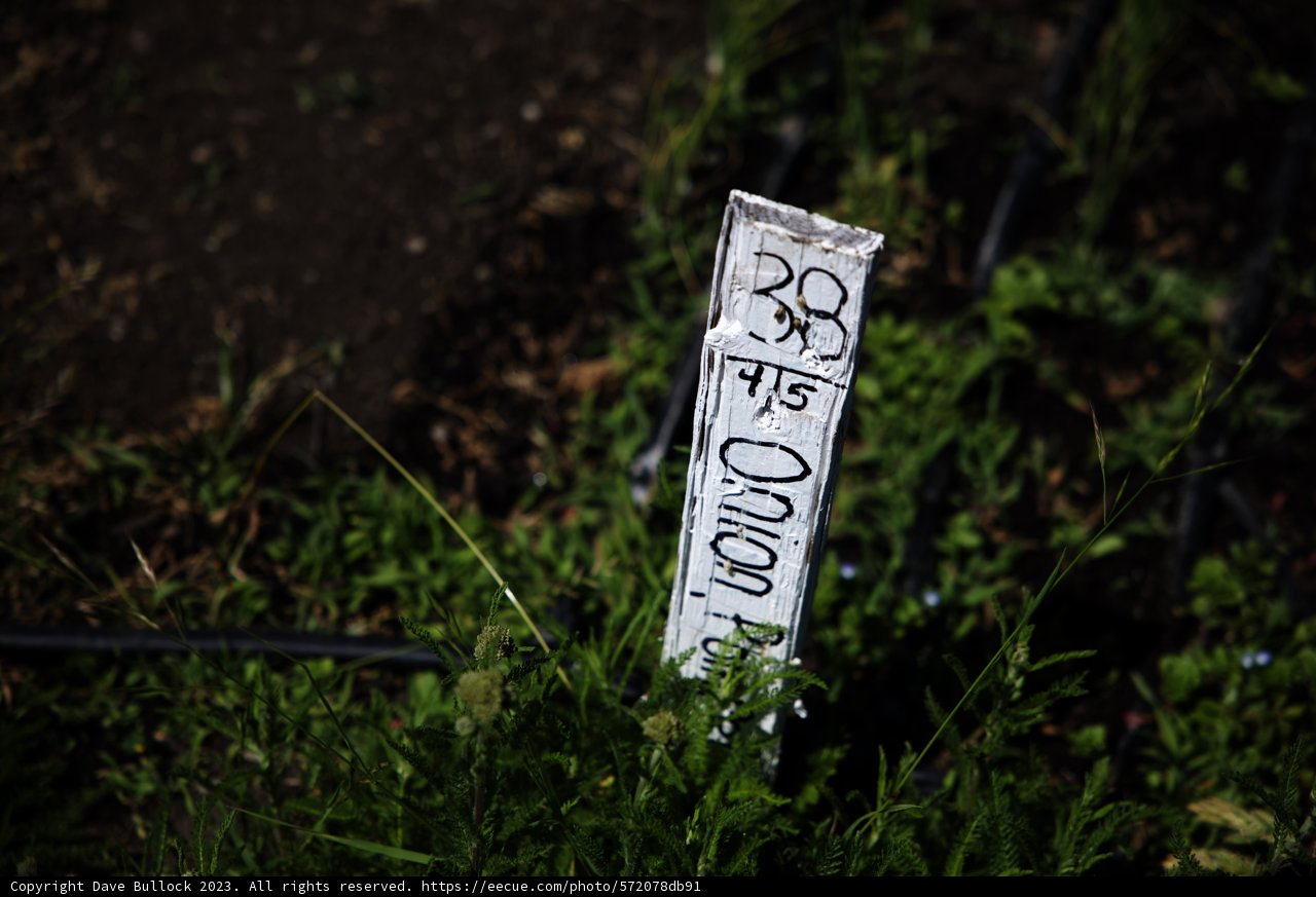 The Herbal Signpost