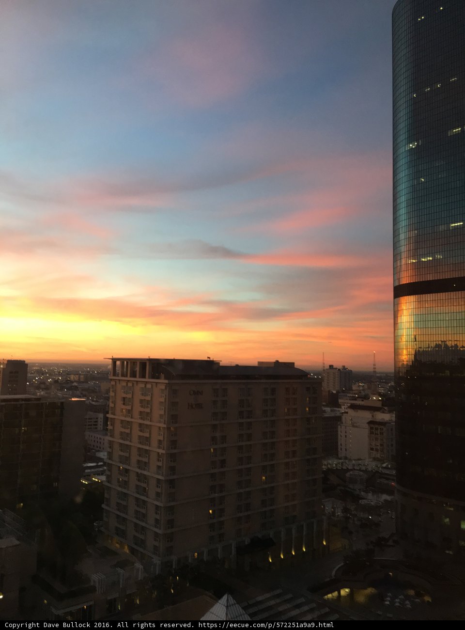 Sunset over the Urban Jungle