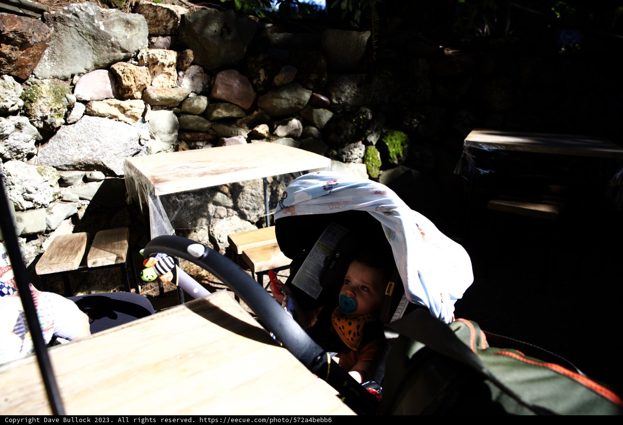 Adorable Moments at the Japanese Tea Garden