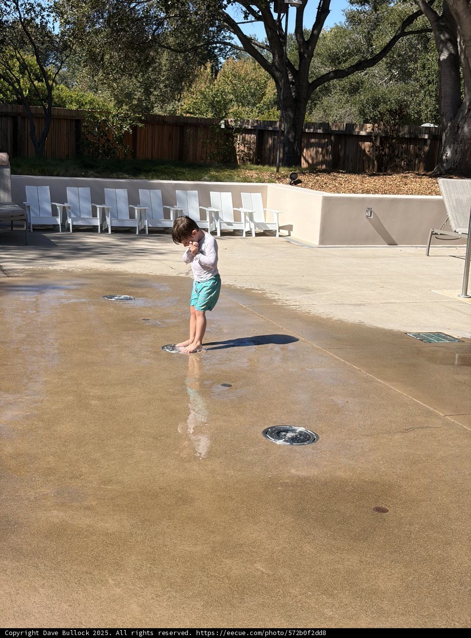 Splashes of Joy