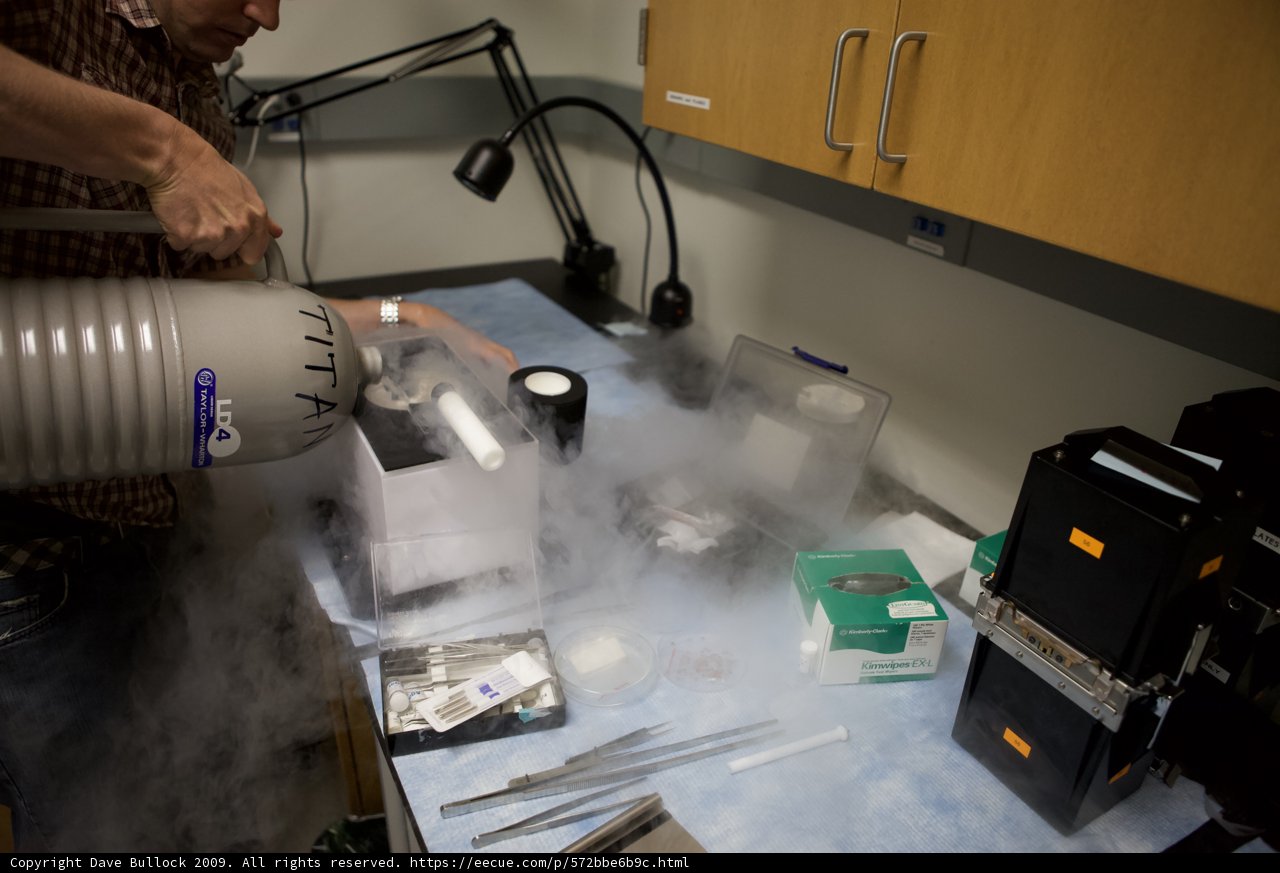 Laboratory Pouring