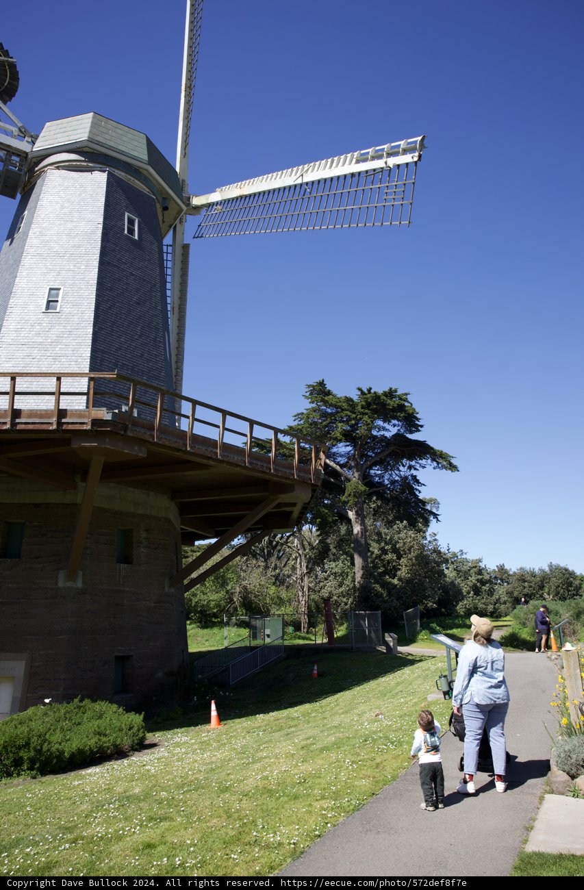 Women's Date with the Windmills in Golden Gate Park