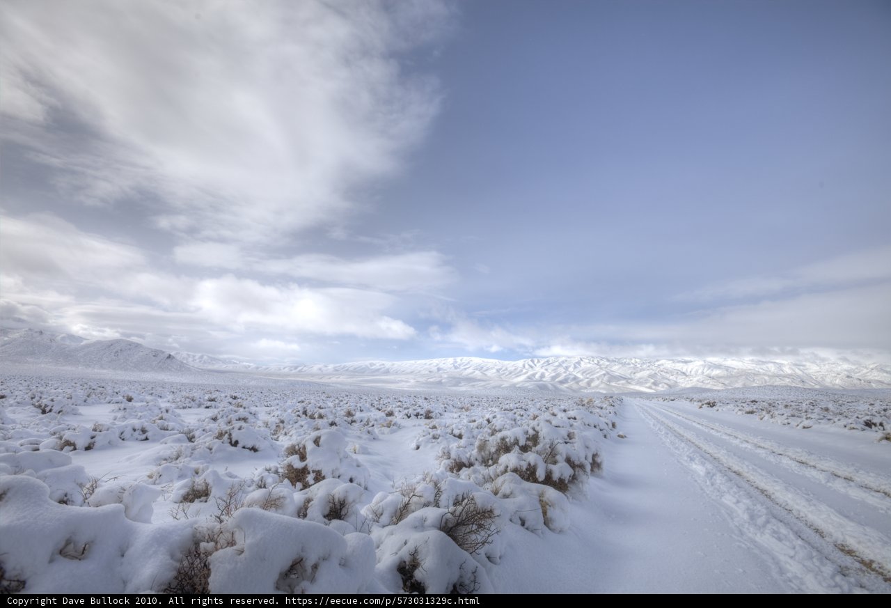 Winter Wonderland Road