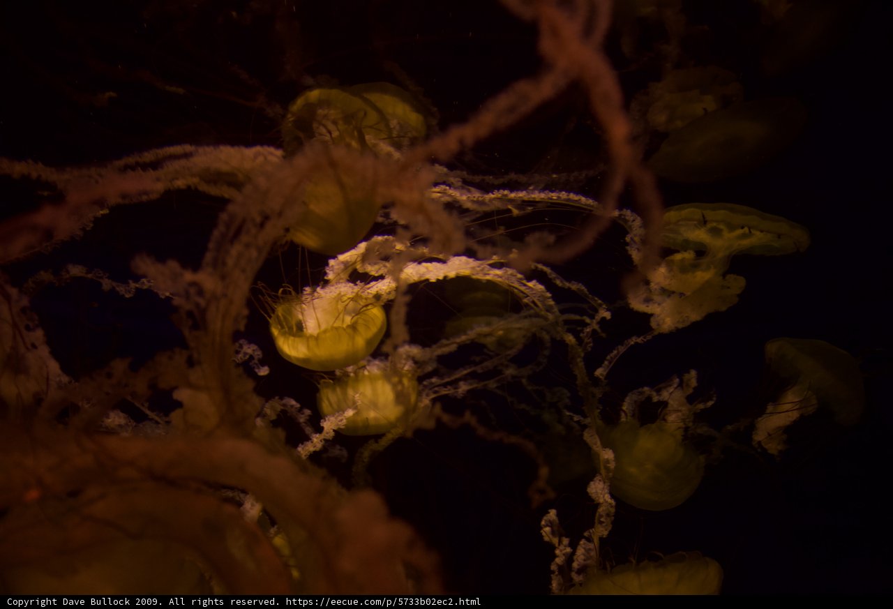 Illuminating the Depths