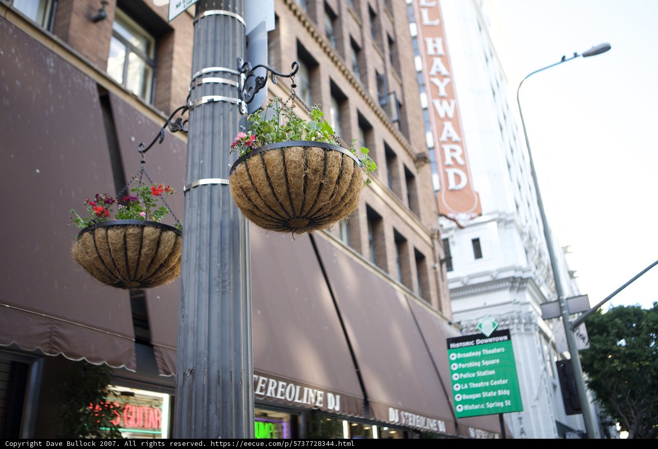 Blooming Street Pole