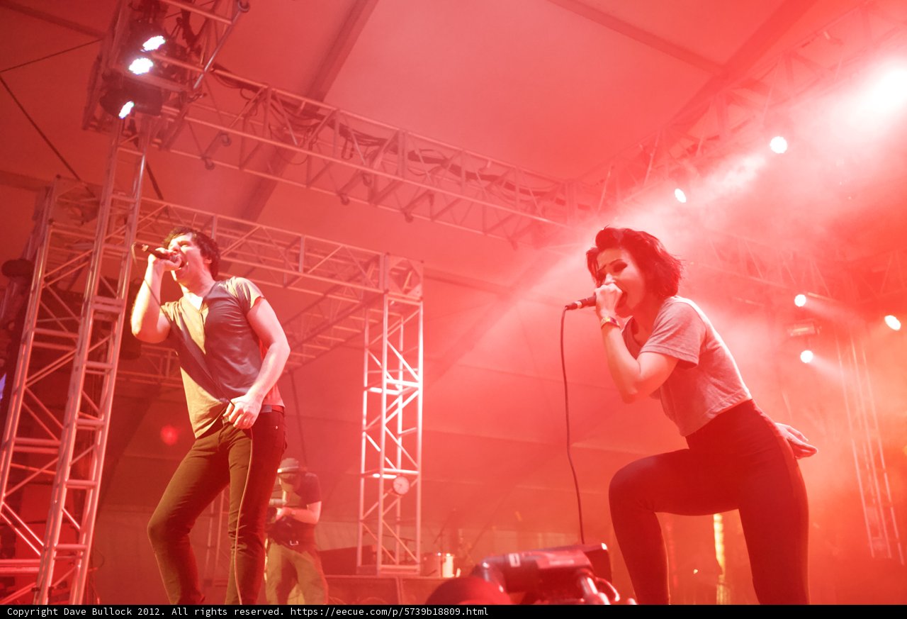 Rocking the Crowds at Coachella