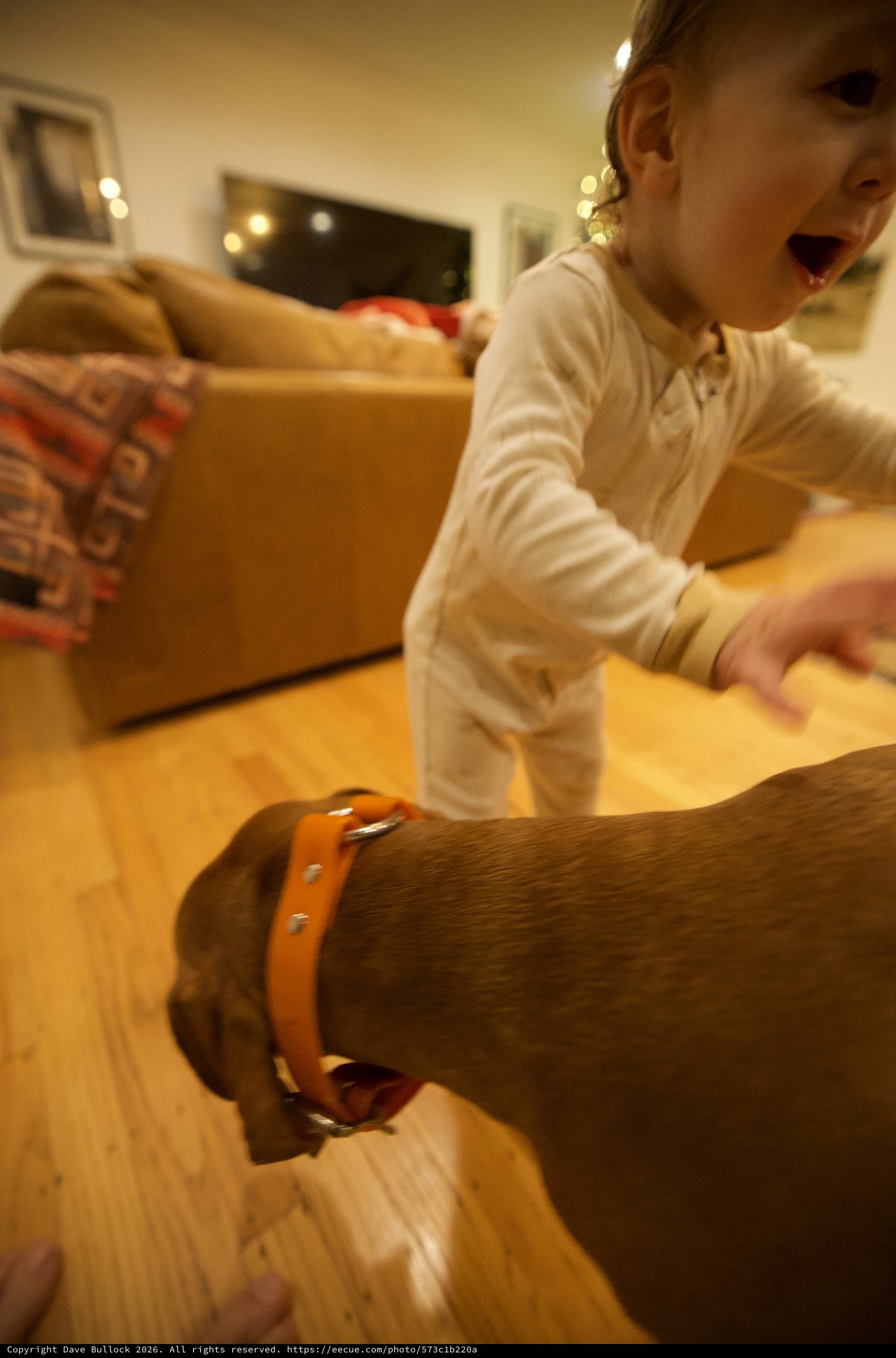 Child's Joyful Christmas Morning with Dog Companion