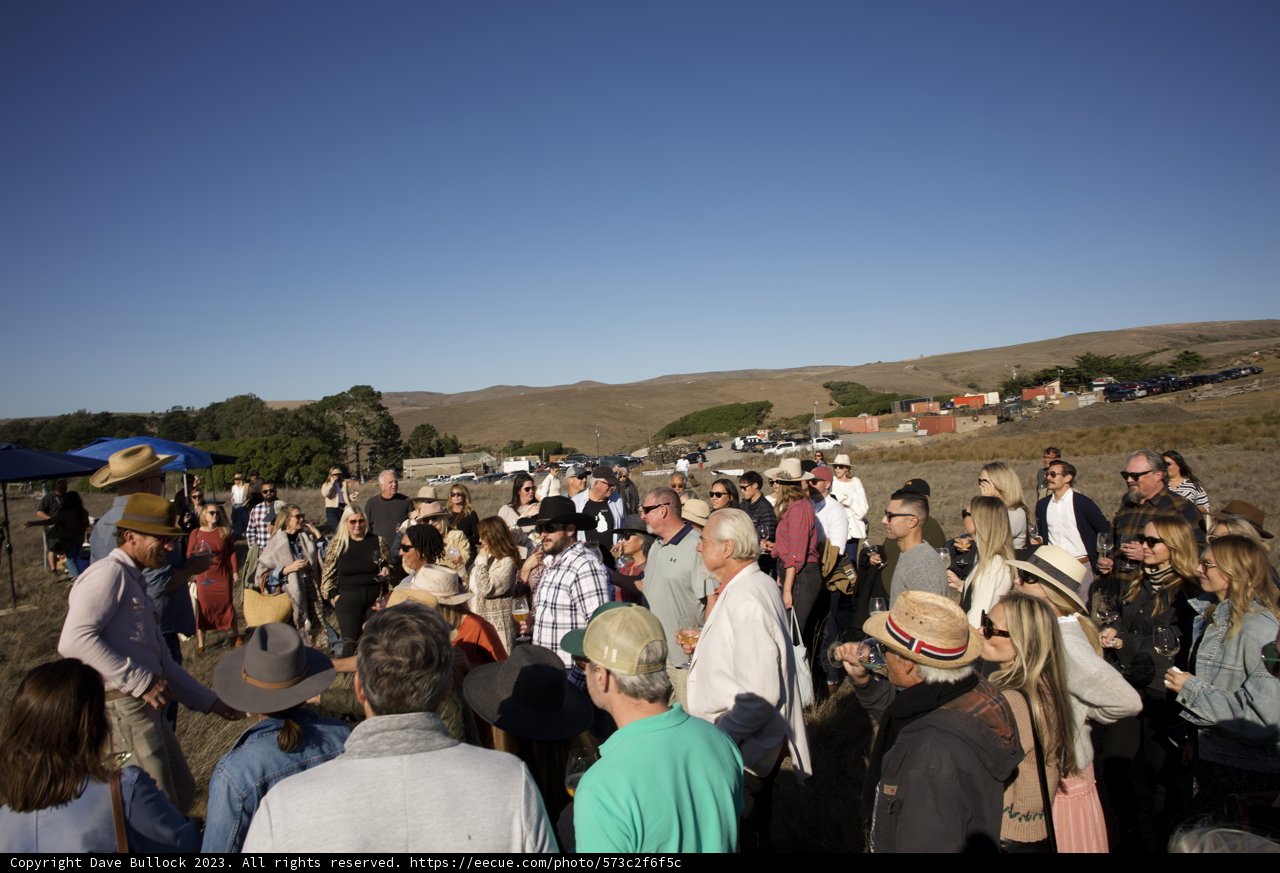 Harmony in Nature: Community Gathering at Hog Island Oyster Co