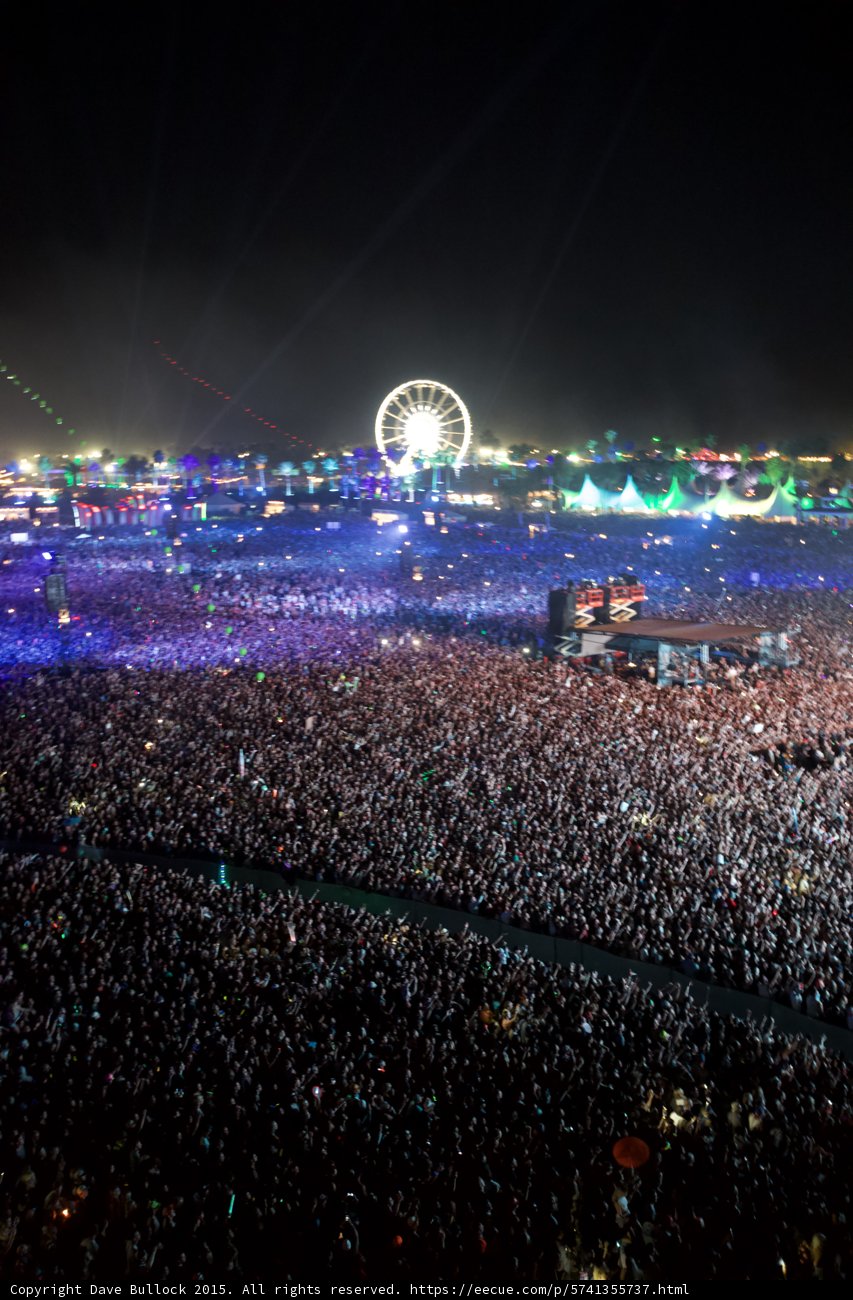 Electric Nights at Coachella
