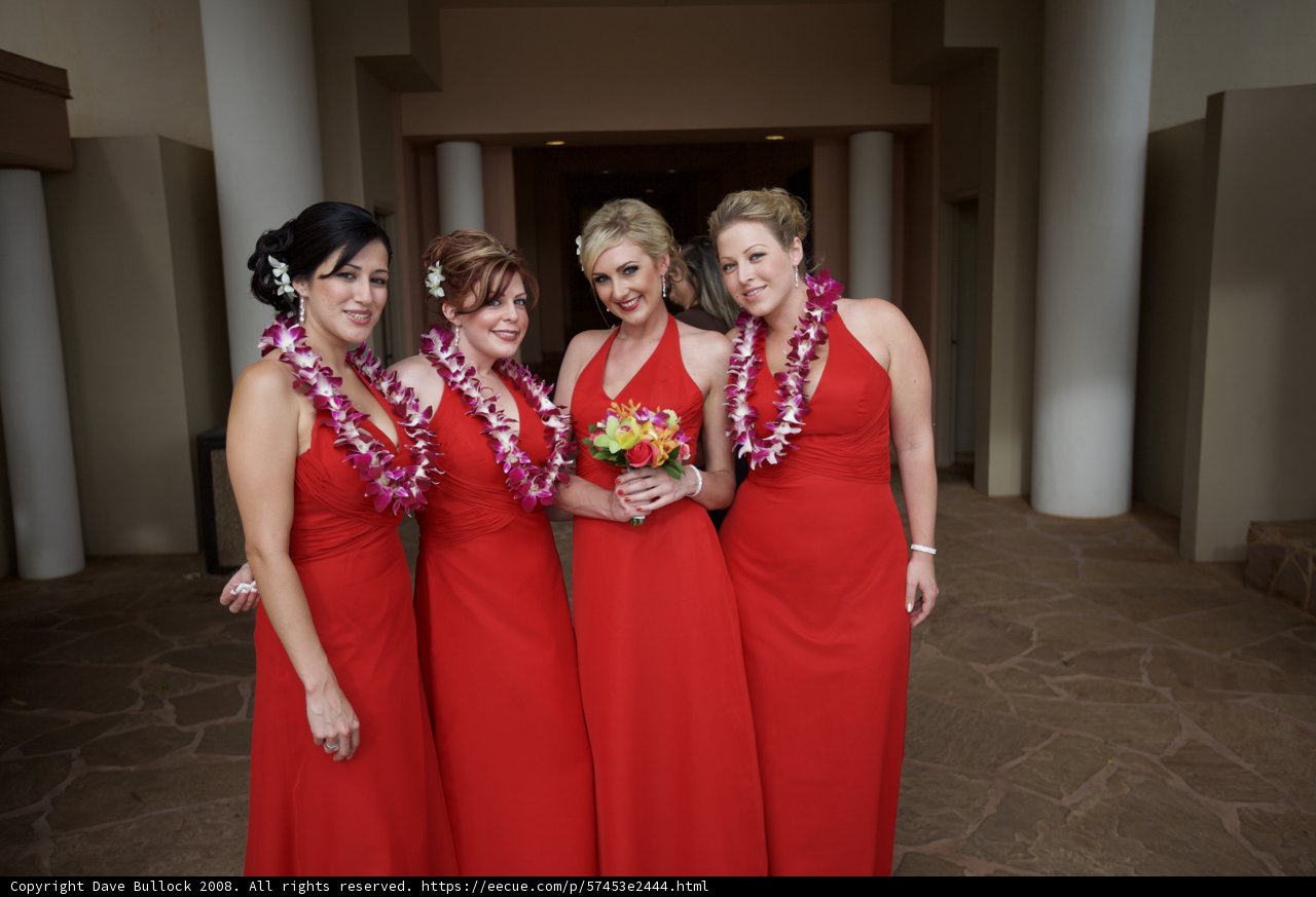 The Red Bridesmaids