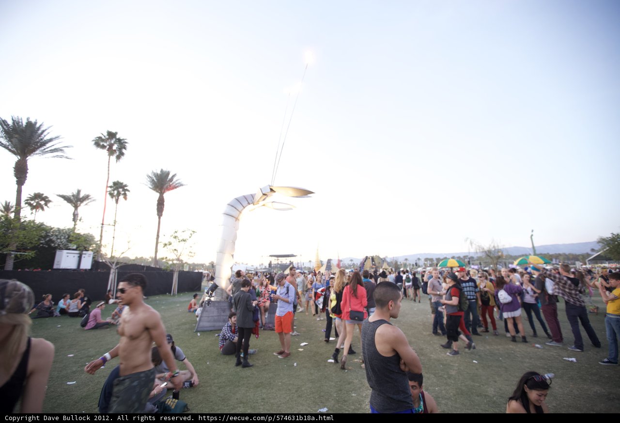 Gathering Under the Sun