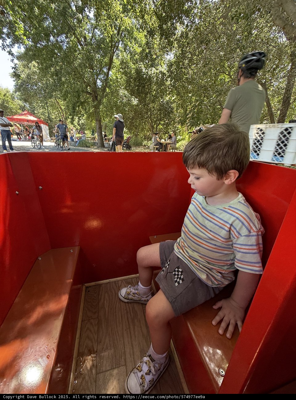 Summer Adventures in the Park