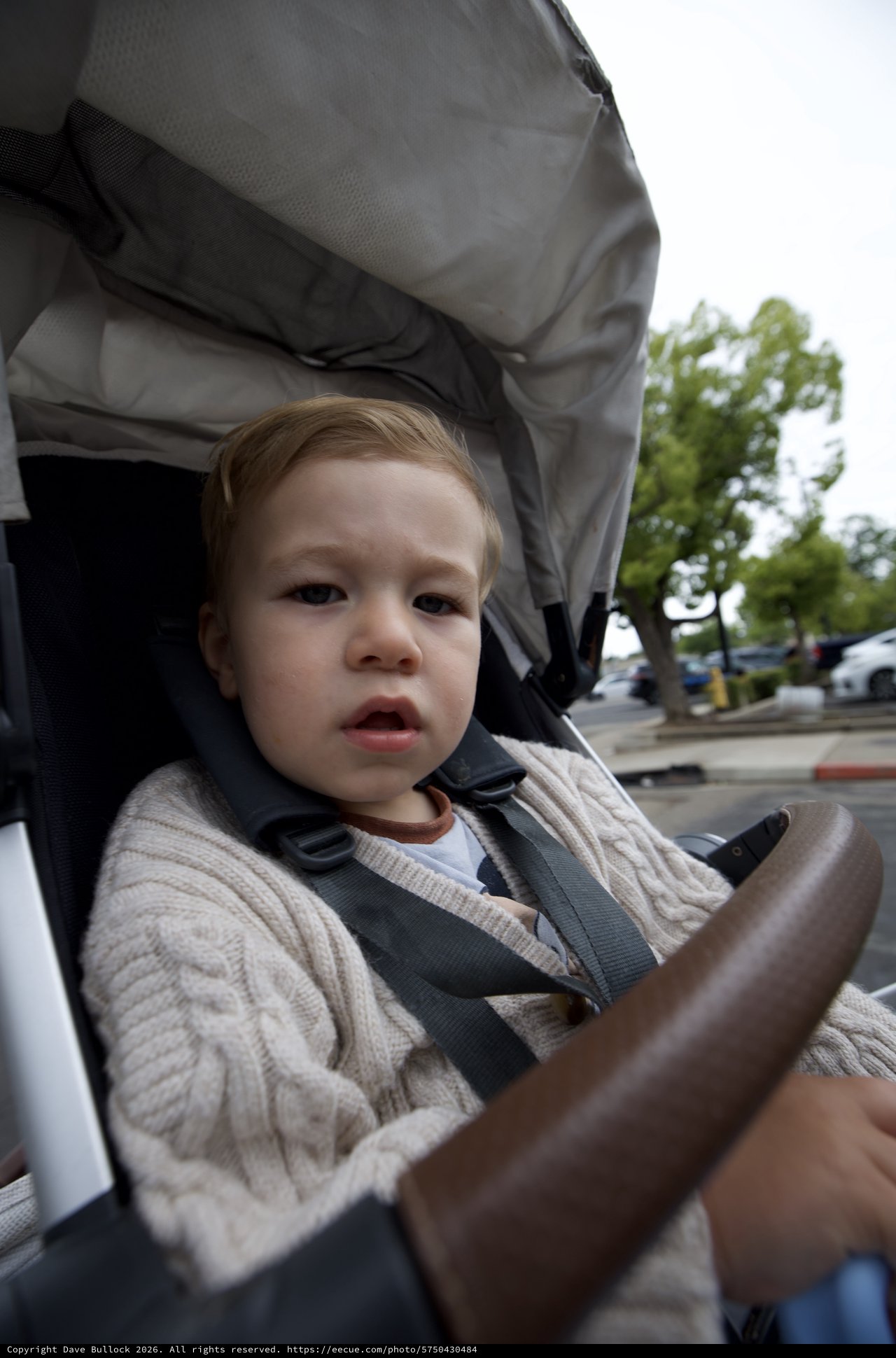 Young Toddler in Stroller on Overcast Day