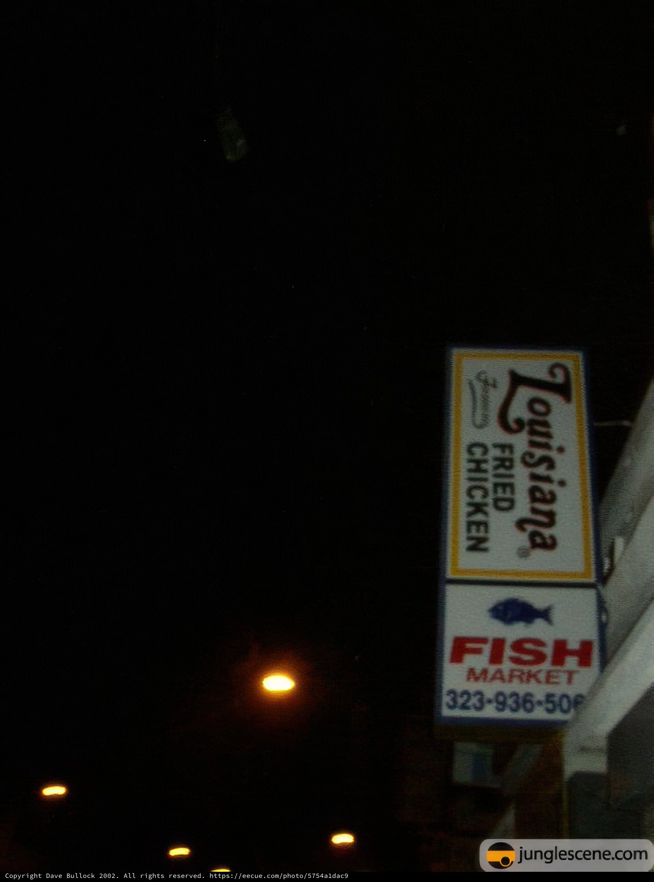 A Nighttime Catch