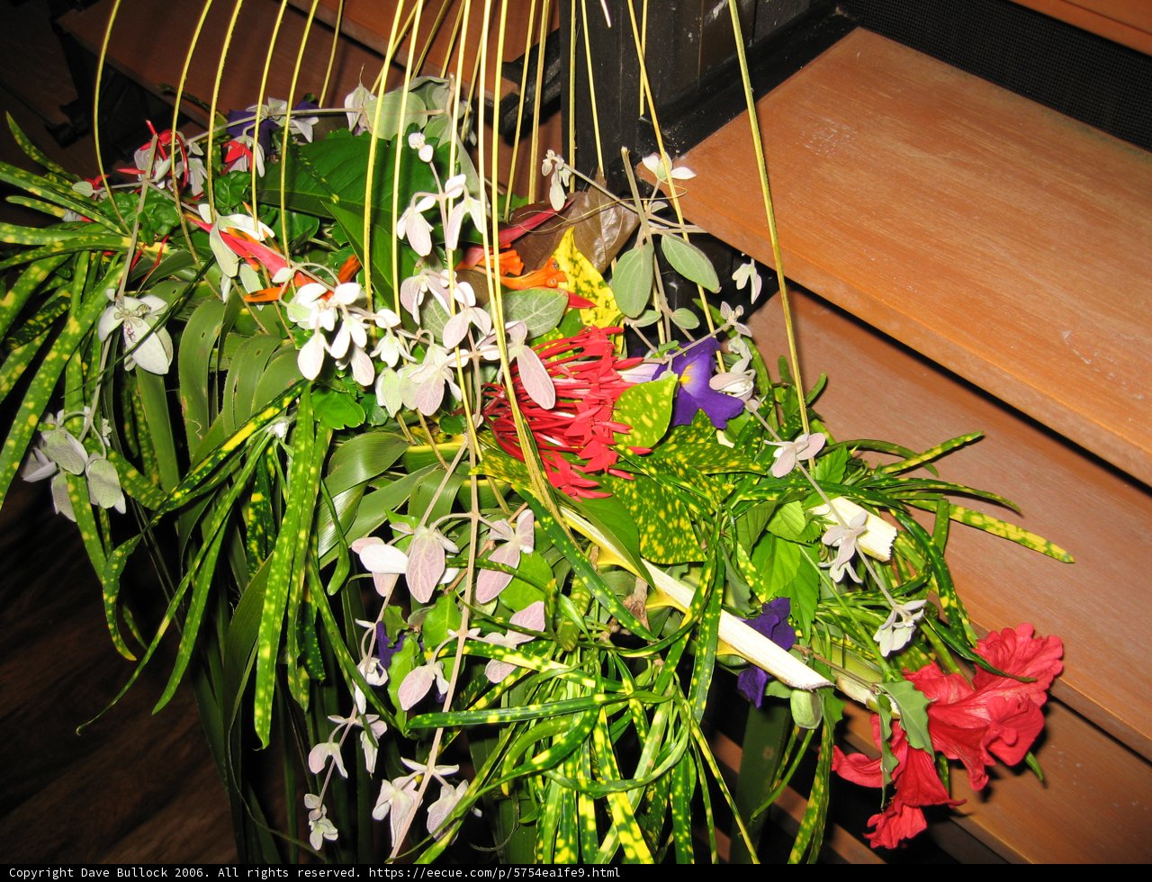 Hanging Flower Bouquet