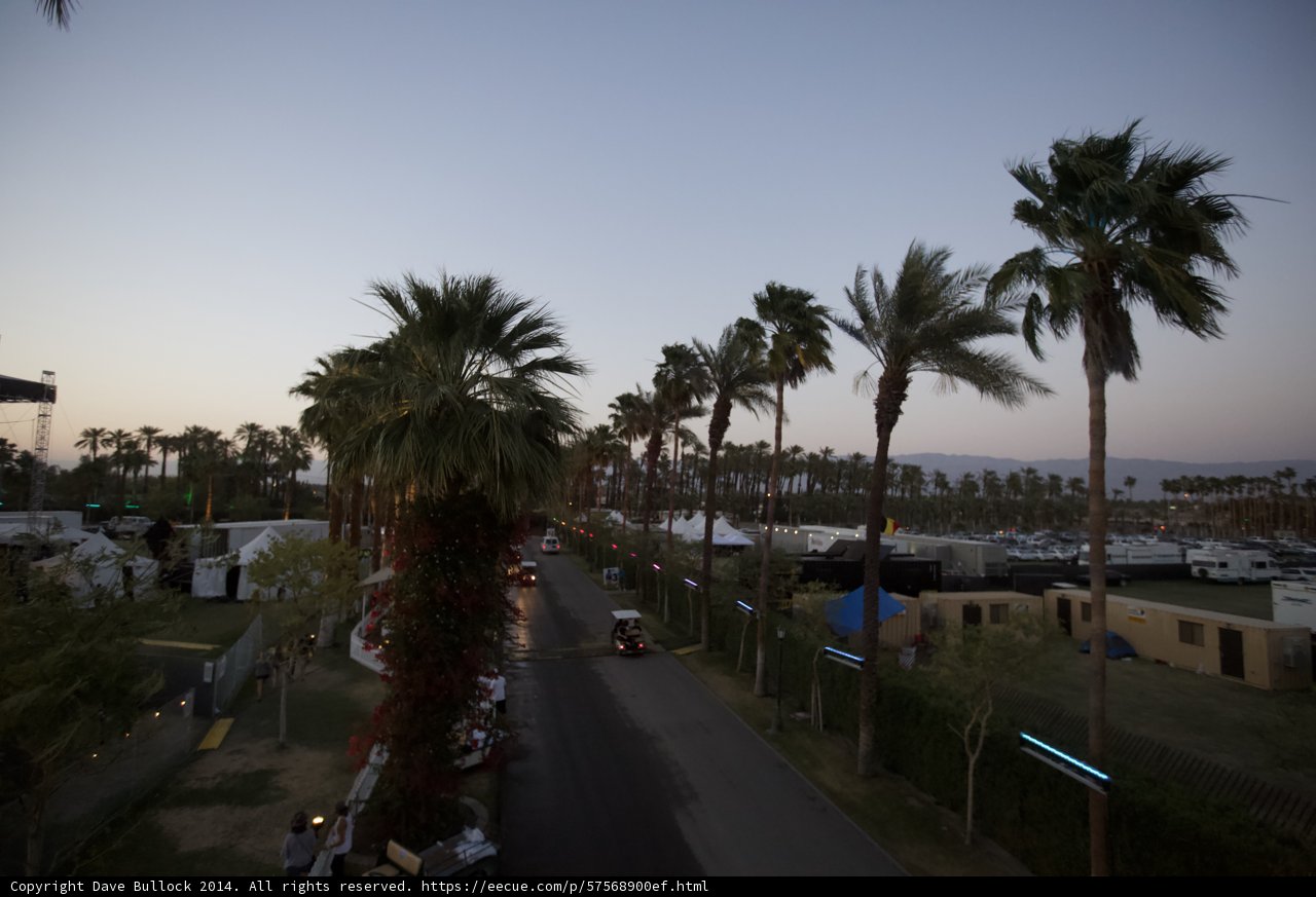 Dusk on the Palm Tree Road