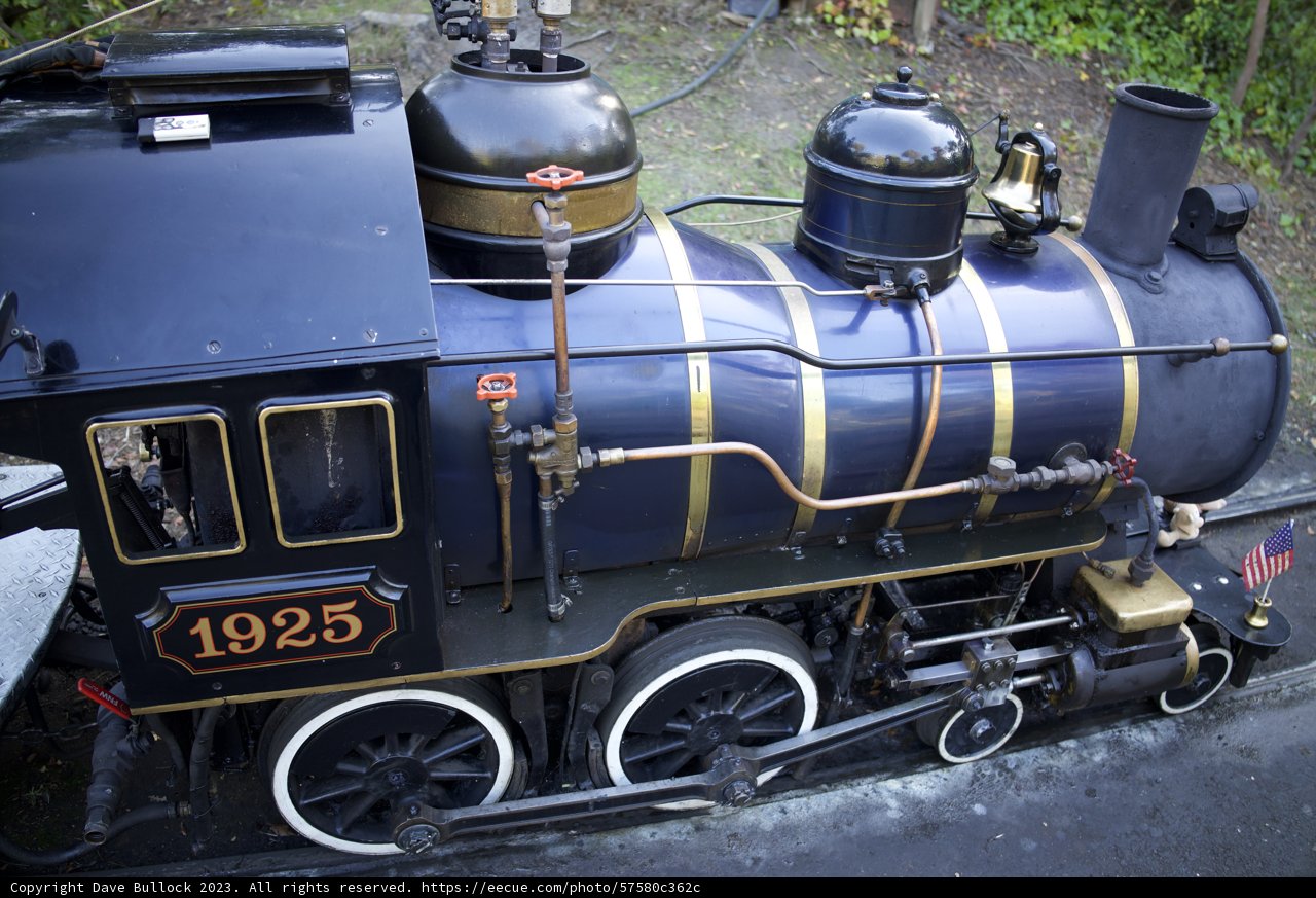 Vintage Charm: The Locomotive of SF Zoo