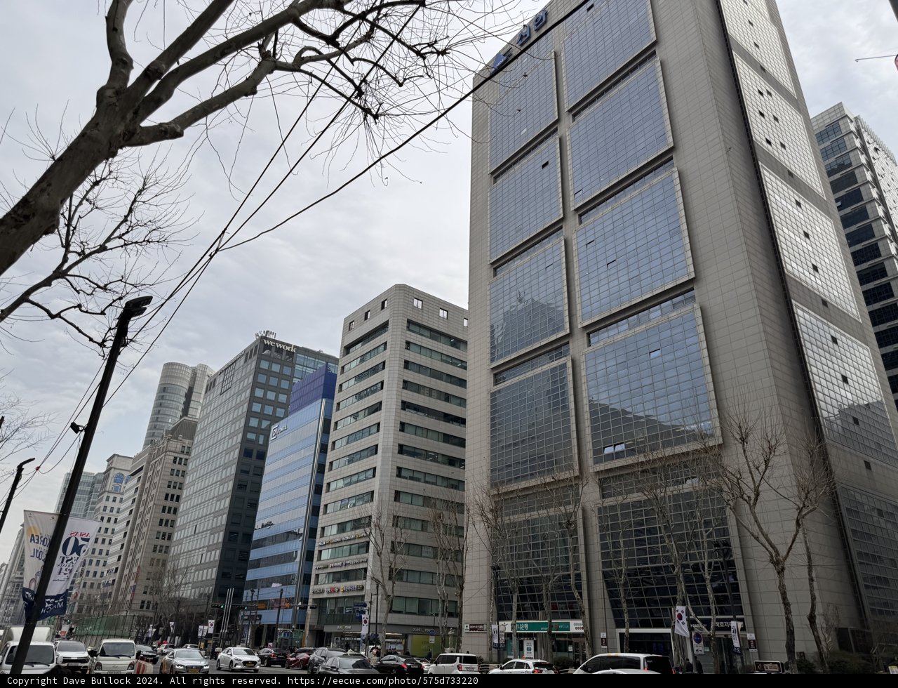 Urban Metropolis: The Seoul Cityscape