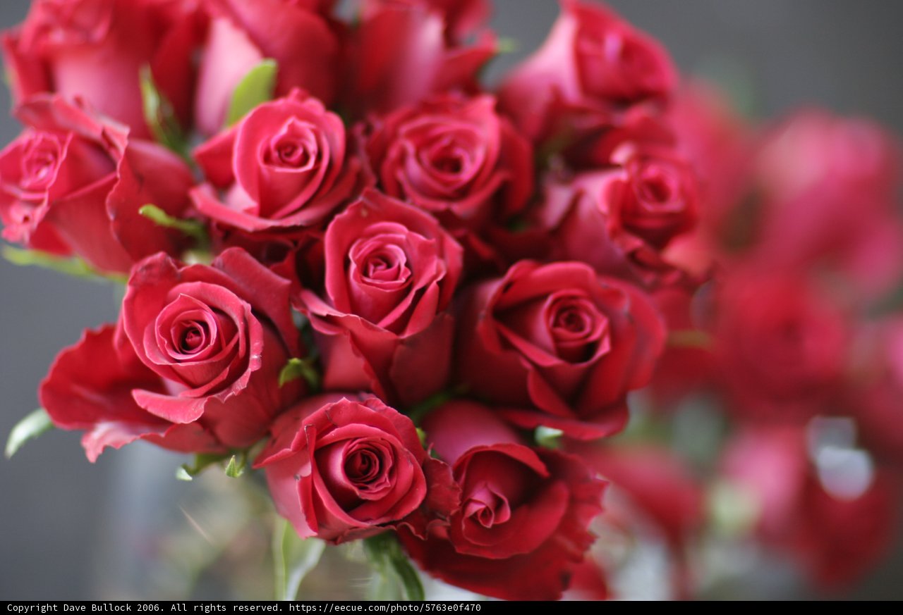 Red Rose Bouquet