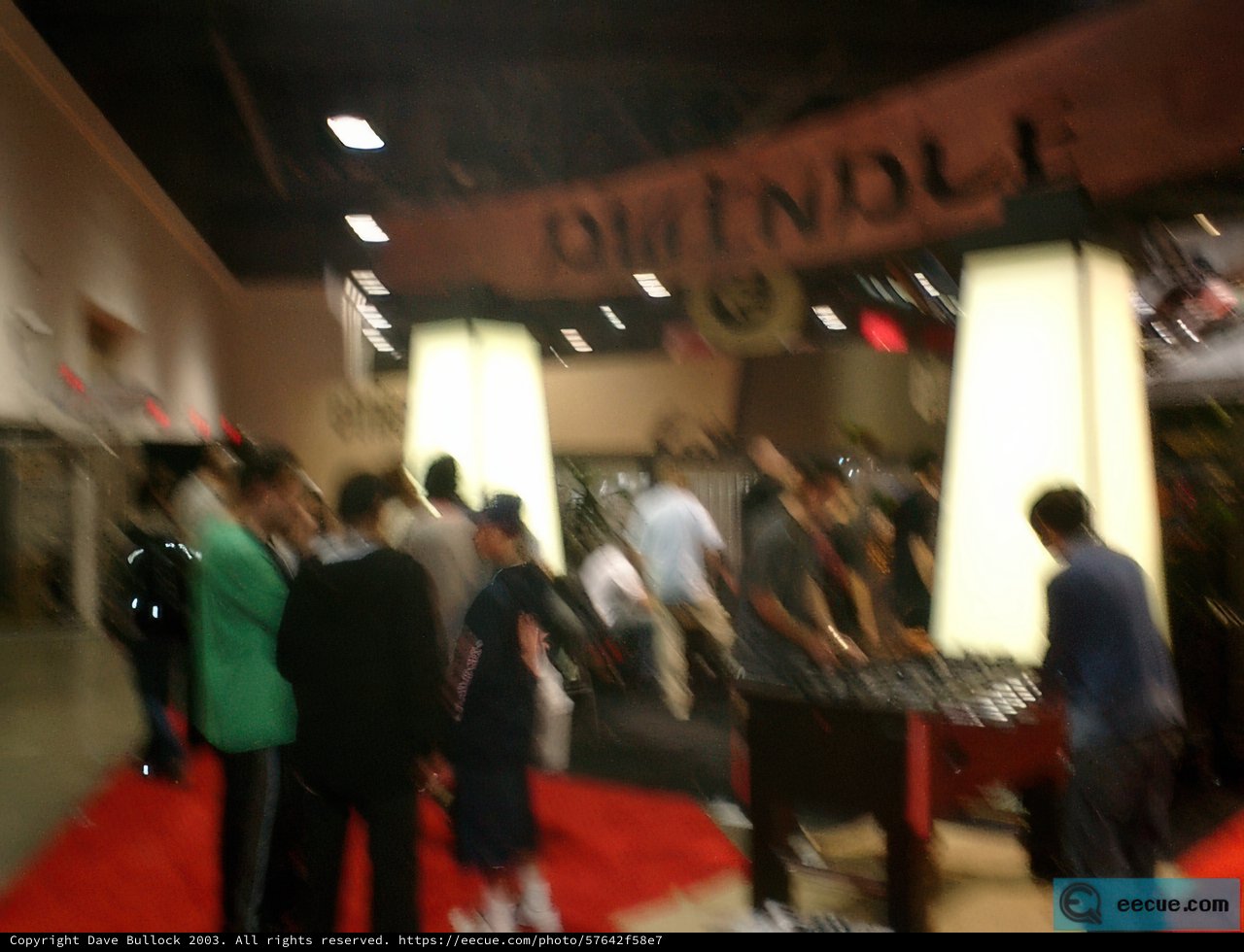 Fashionable Premiere Crowd